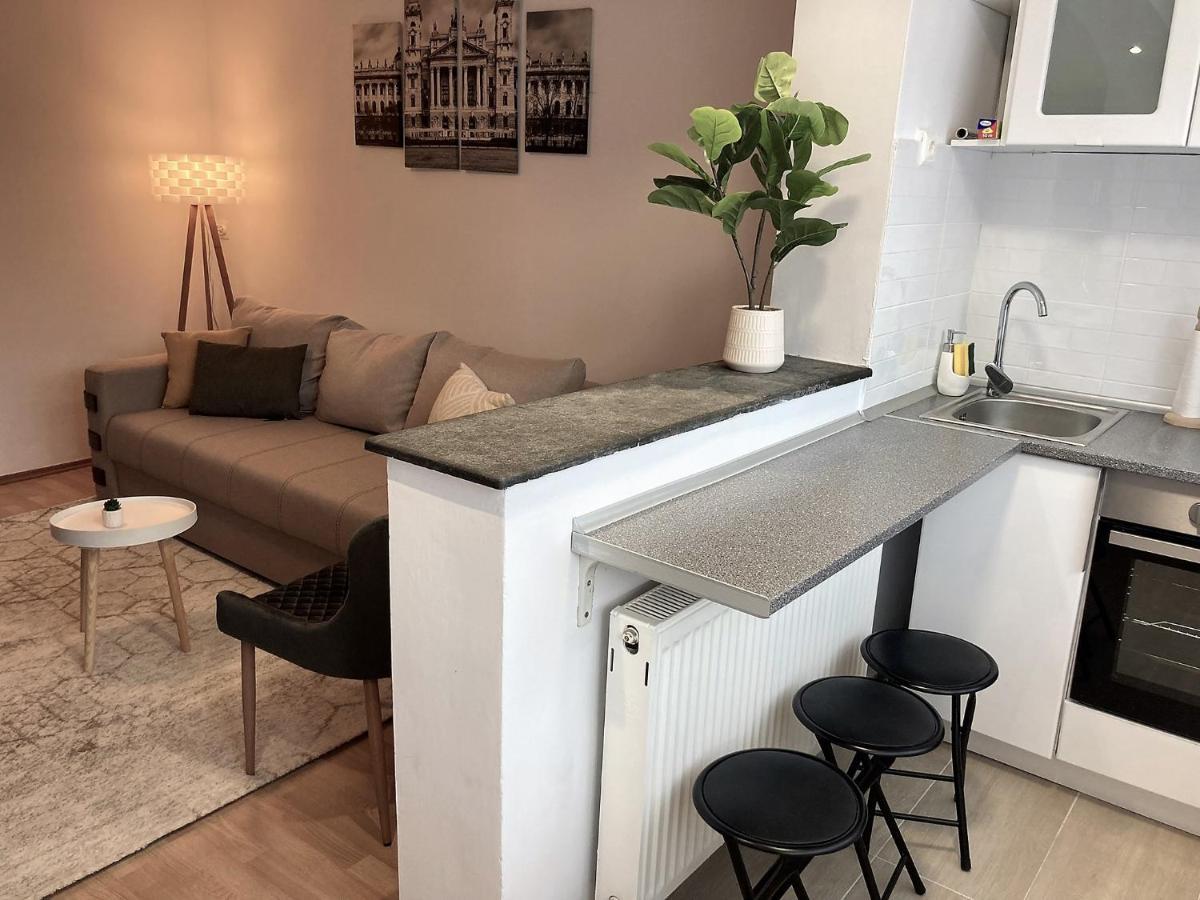 קלוז'-נאפוקה Lovely Apartment In A Quiet Area מראה חיצוני תמונה